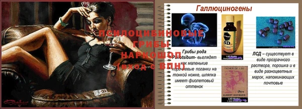 бошки Осинники