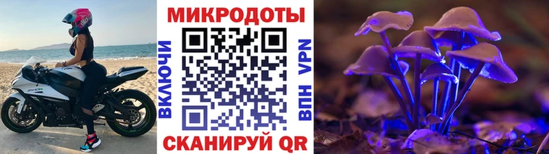 Галлюциногенные грибы мицелий  закладки  KRAKEN ссылки  даркнет телеграм  Тайга 
